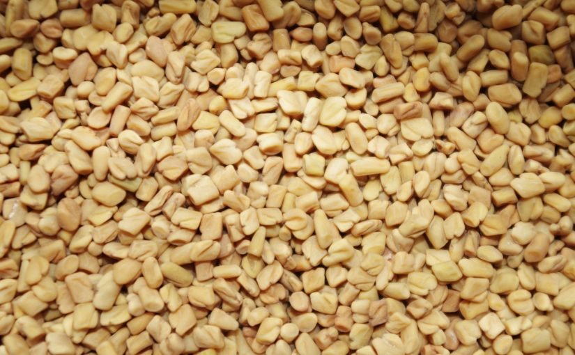 d981d988d8a7d8a6d8af-d8a7d984d8add984d8a8d8a9-d984d984d8b4d8b9d8b1-825x510-2 فوائد الحلبة للشعر