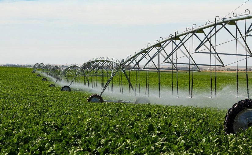 d981d988d8a7d8a6d8af-d8a7d984d8b2d8b1d8a7d8b9d8a9-825x510-2 فوائد الزراعة