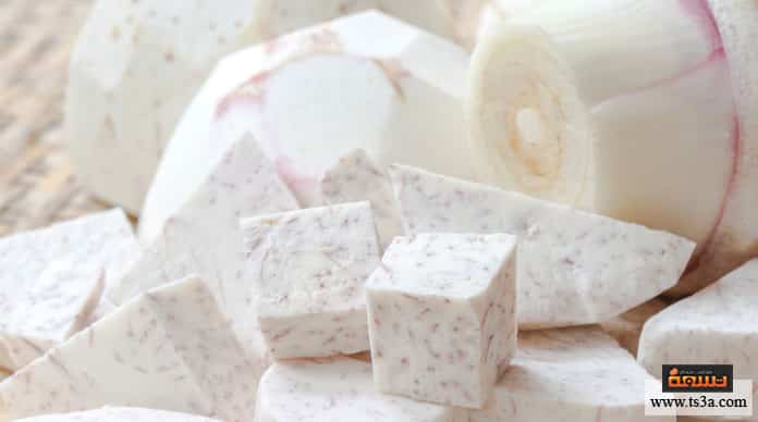 d981d988d8a7d8a6d8af-d8a7d984d982d984d982d8a7d8b3-d981d988d8a7d8a6d8af-d8a7d984d982d984d982d8a7d8b3-d984d984d8add8a7d985d984 فوائد القلقاس فوائد القلقاس للحامل