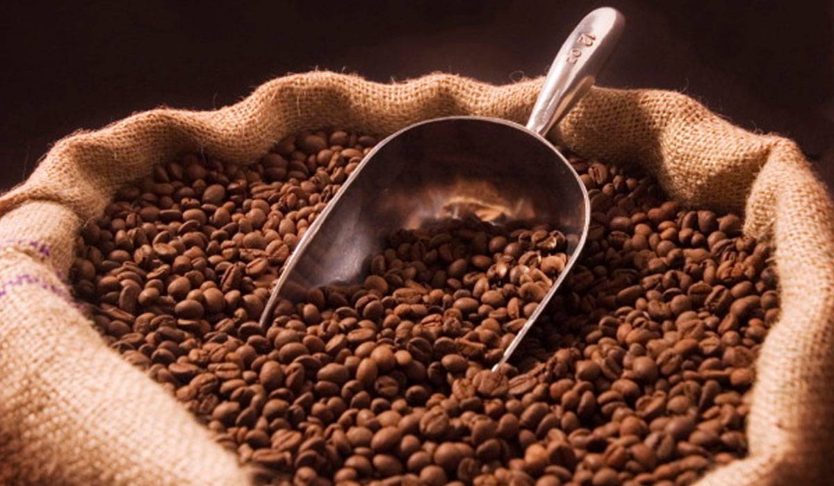 d981d988d8a7d8a6d8af-d8a7d984d982d987d988d8a9-d984d984d8b4d8b9d8b11 فوائد-القهوة-للشعر1