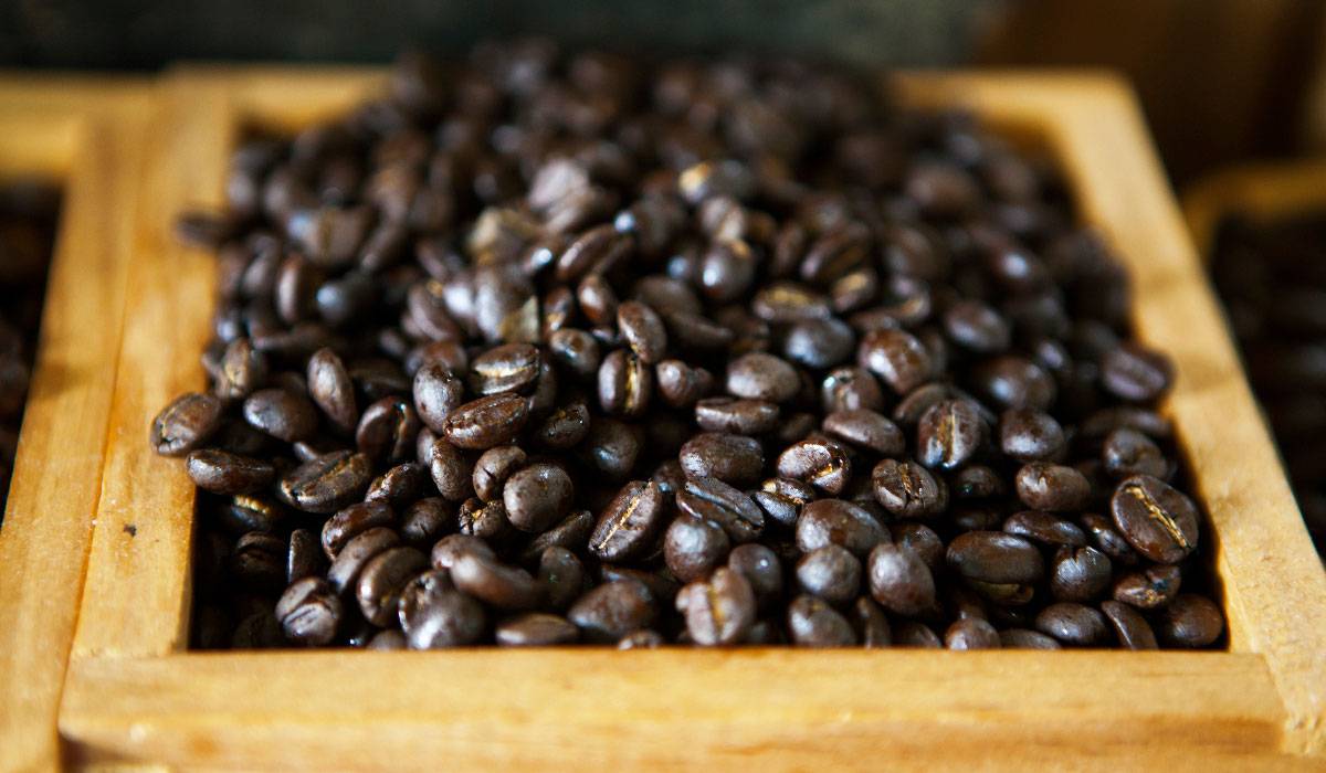 d981d988d8a7d8a6d8af-d8a7d984d982d987d988d8a9-d984d984d8b4d8b9d8b12 فوائد-القهوة-للشعر2