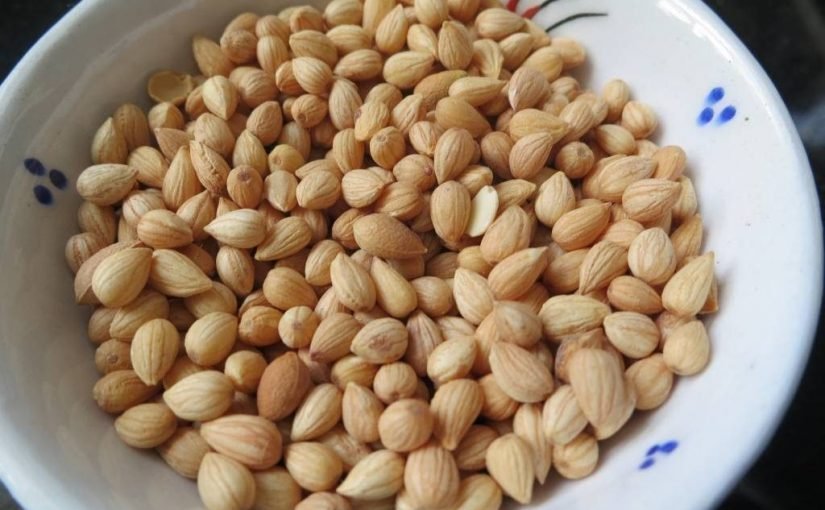 d981d988d8a7d8a6d8af-d8a7d984d985d8add984d8a8-d984d984d8b4d8b9d8b1-825x510-2 فوائد المحلب للشعر