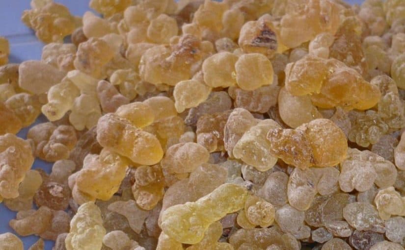 d981d988d8a7d8a6d8af-d8a7d984d985d8b3d8aad983d8a9-d984d984d8a8d8b4d8b1d8a9-825x510-2 فوائد المستكة للبشرة