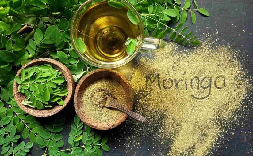 d981d988d8a7d8a6d8af-d8a7d984d985d988d8b1d98ad986d8acd8a7-d984d984d8b4d8b9d8b1-825x510-2 فوائد المورينجا للشعر