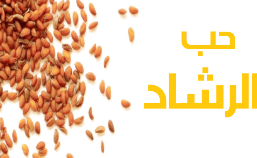 d981d988d8a7d8a6d8af-d8add8a8-d8a7d984d8b1d8b4d8a7d8af-d984d984d8b4d8b9d8b1-825x510-2 فوائد حب الرشاد للشعر