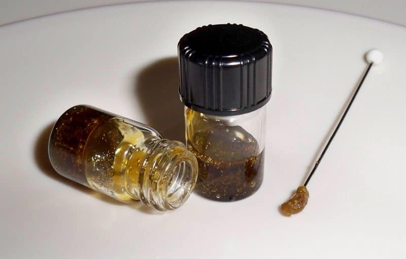 d981d988d8a7d8a6d8af-d8b2d98ad8aa-d8a7d984d8add8b4d98ad8b4-d984d984d8b4d8b9d8b1-d988d8a7d984d8a8d8b4d8b1d8a9-d988d8a7d8b6d8b1d8a7d8b1d987-800x510-2 فوائد زيت الحشيش للشعر والبشرة واضراره