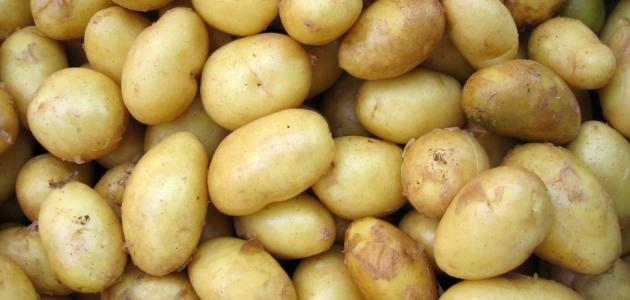 فوائد البطاطس