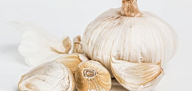 فوائد الثوم