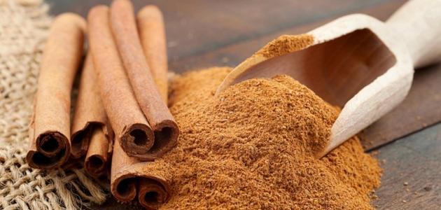 d981d988d8a7d8a6d8af_d8a7d984d982d8b1d981d8a9_d8a7d984d987d986d8afd98ad8a91