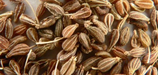 فوائد النافع