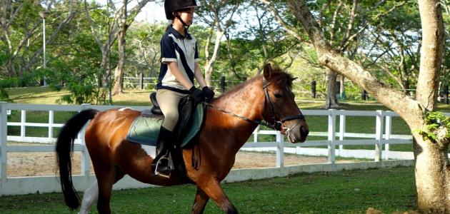 فوائد ركوب الخيل