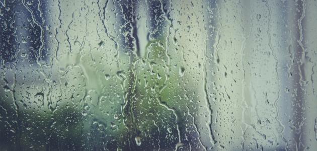 فوائد ماء المطر