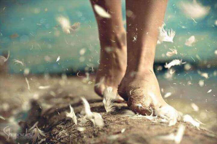 d982d8afd985-d988d8b1d98ad8b4 الصداقة