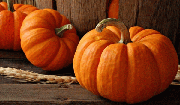 d982d8b1d8b9-1 فوائد اليقطين