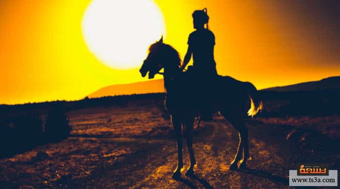 d982d98ad8a7d985d8a9-d8a3d8b1d8b7d8bad8b1d984-d985d8b3d984d8b3d984-d982d98ad8a7d985d8a9-d8a3d8b1d8b7d8bad8b1d984 قيامة أرطغرل مسلسل قيامة أرطغرل