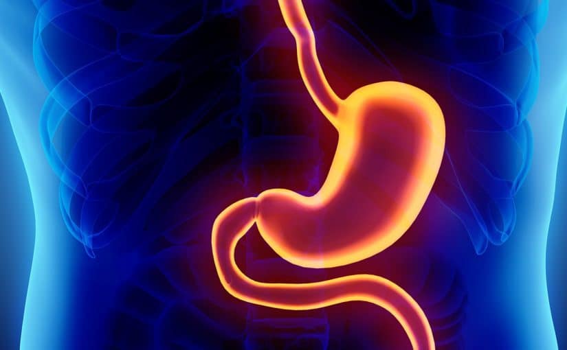 d983d8b1d985d8b4d8a9-d8a7d984d985d8b9d8afd8a9-825x510-3 كرمشة المعدة