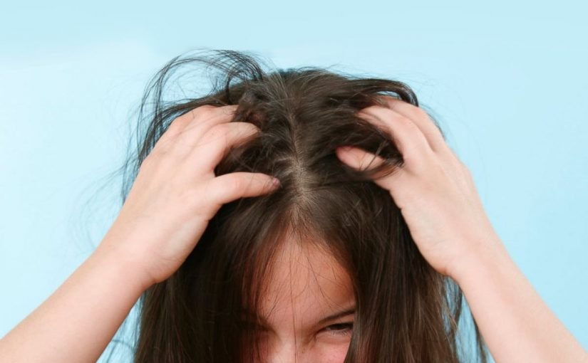 d983d98ad981-d8a7d8aad8aed984d8b5-d985d986-d8a7d984d982d985d9841-825x510-2 كيف-اتخلص-من-القمل1