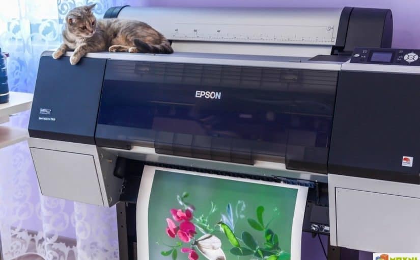 كيفية اختيار طابعة