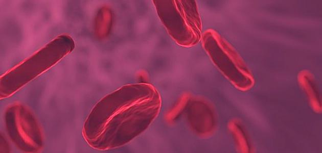 ما اعراض سرطان الدم