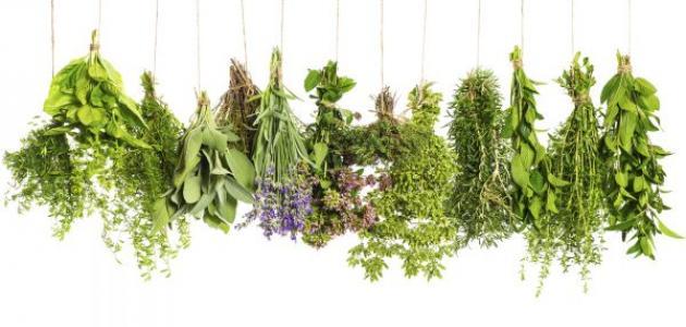 ما هو علاج انخفاض هرمون الاستروجين