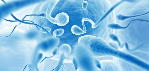 ما هي علامات حدوث الاخصاب