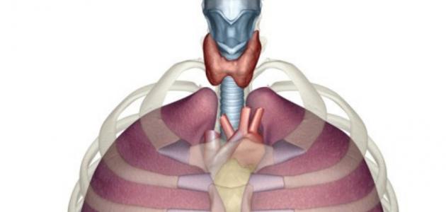 ما هي علامات مرض الغدة الدرقية