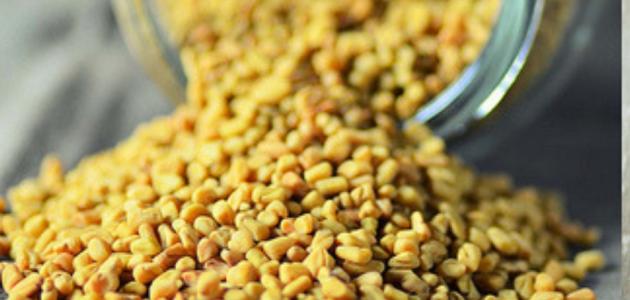 ما هي فوائد الحلبة