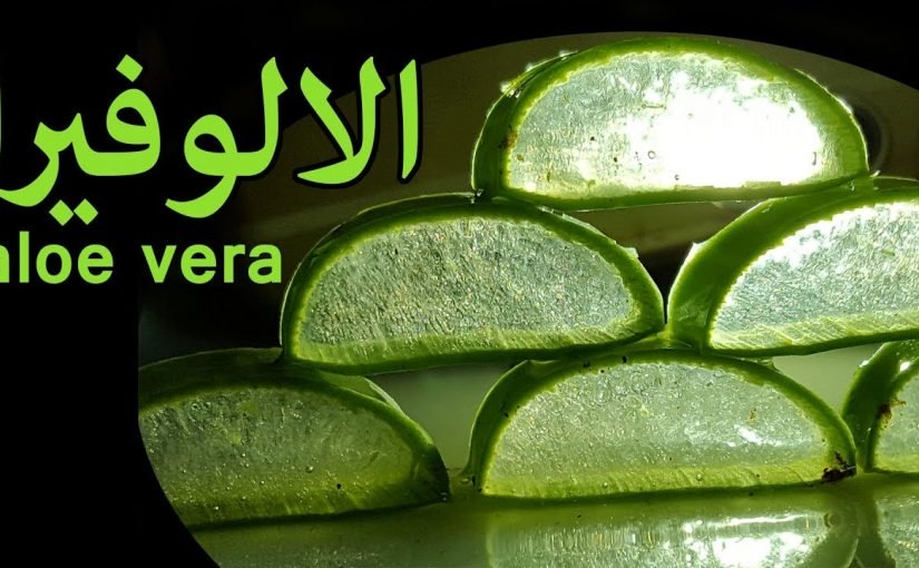 d985d8a7d8b3d983-d8a7d984d8a7d984d988d981d98ad8b1d8a7-825x510-2 ماسك الالوفيرا