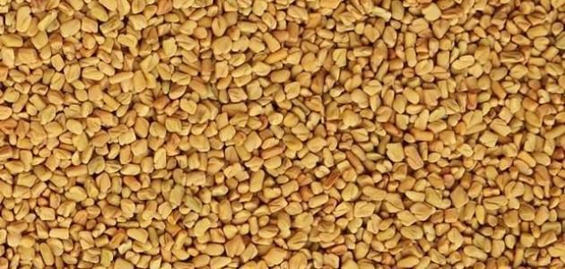 ماهي فوائد الحلبة لمرض السكر