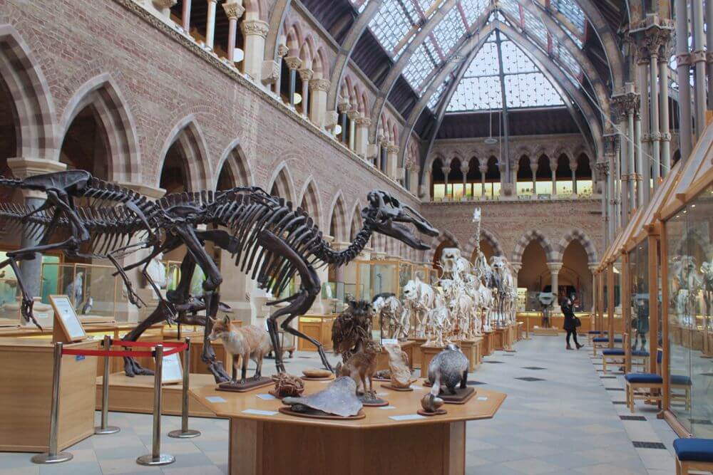 متحف التاريخ الطبيعي متحف التاريخ الطبيعي