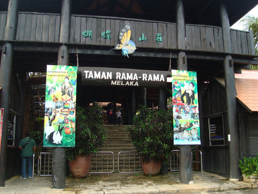 محمية الفراشات والزواحف في مالكا ماليويا محمية الفراشات والزواحف في مالكا ماليويا