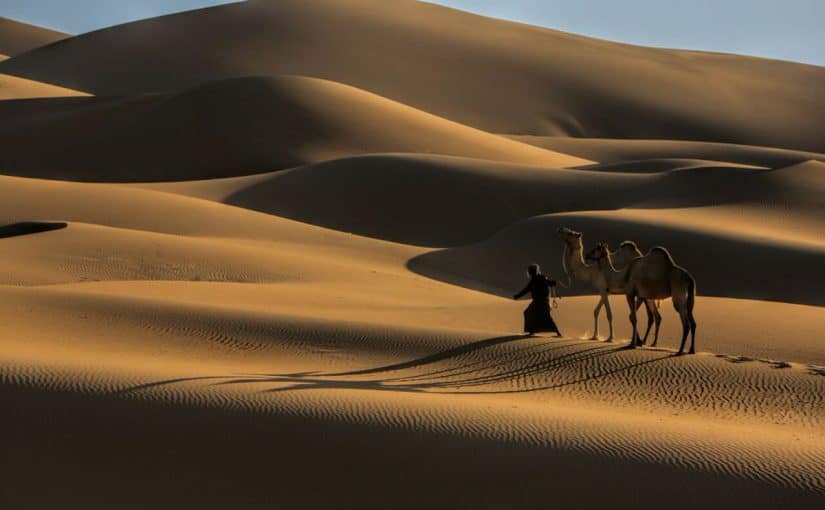 d985d8aed98ad985-d8a7d984d8b4d8a7d8b7d8a6-d981d98a-d8a3d985-d8a7d984d982d98ad988d98ad986-825x510-2 مخيم الشاطئ في أم القيوين