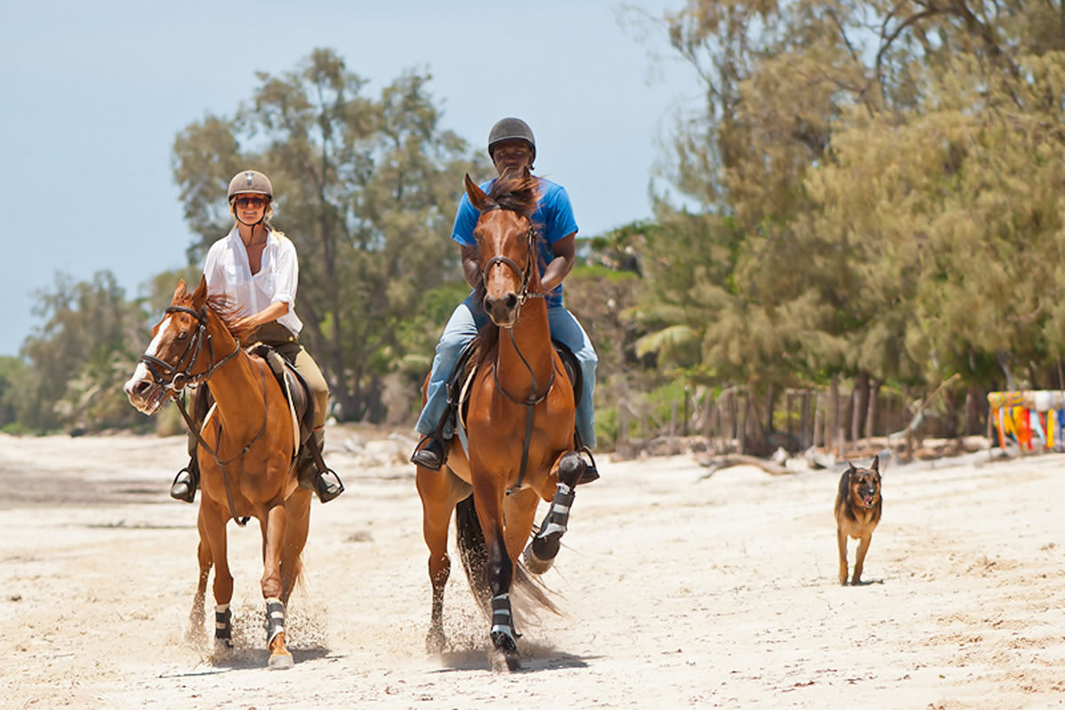 مركز فروسية  de riambel