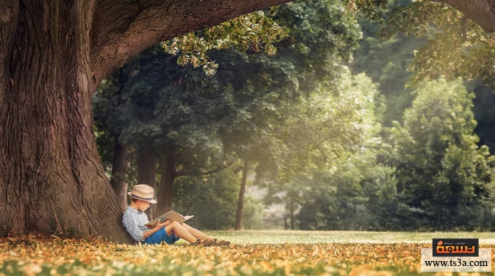 d985d8b3d8aad988d989-d8a7d984d8b1d988d8a7d98ad8a9-d8a7d984d8b1d988d8a7d98ad8a9-d8a7d984d8b9d8b1d8a8d98ad8a9 مستوى الرواية الرواية العربية