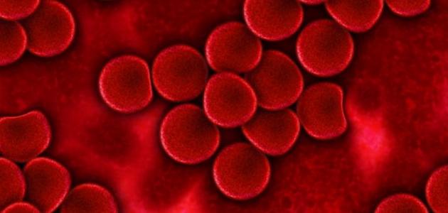 معلومات عن مرض السرطان في الدم