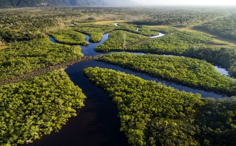 d986d987d8b1-d8a7d984d8a7d985d8a7d8b2d988d986-825x510-2 نهر الامازون اين يقع