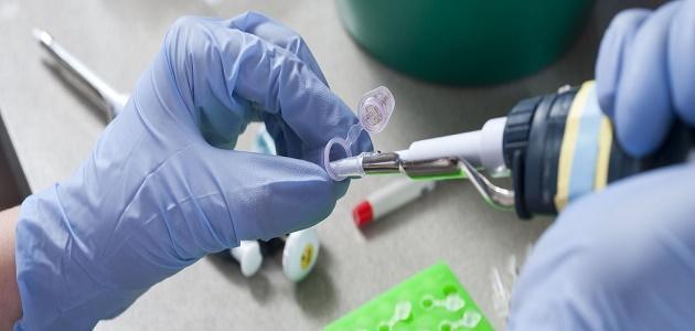 هرمون الاستروجين عند الرجال