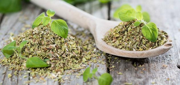 هرمون الحليب والبردقوش