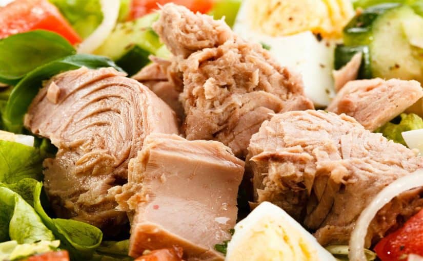 وصفات بالتونة للرجيم