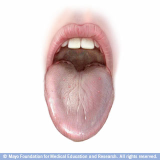 اللسان: من الكلام وحتى التذوق اللسان: من الكلام وحتى التذوق