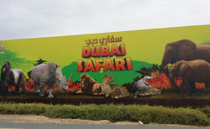 dubai-safari-zoo-825x510-2 بالصور جولة داخل حديقة سفاري دبي