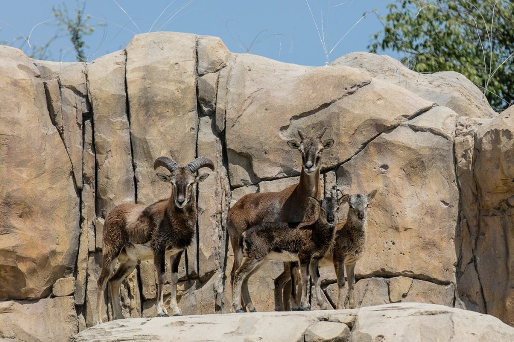 dxlnkllx0aakq1k-1024x683-2