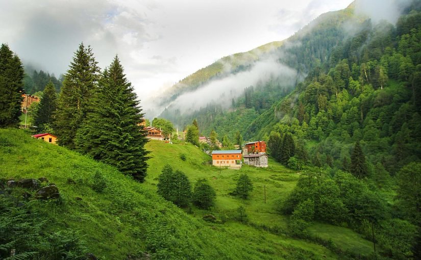 dz8fsx_waaa7qji-825x510-2 السياحة في تركيا ايدر