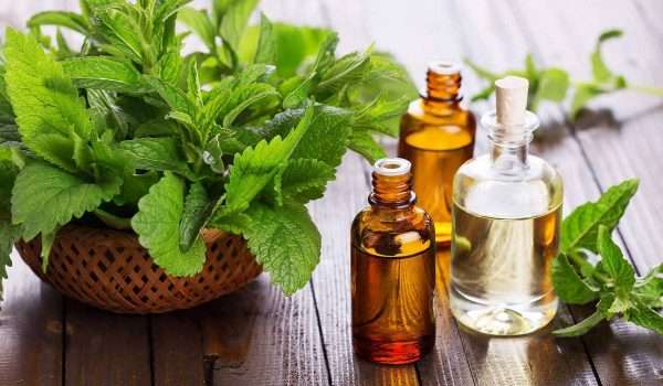 افضل زيت للشعر الدهني