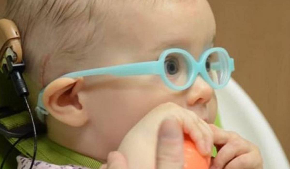 قوقعة الاذن