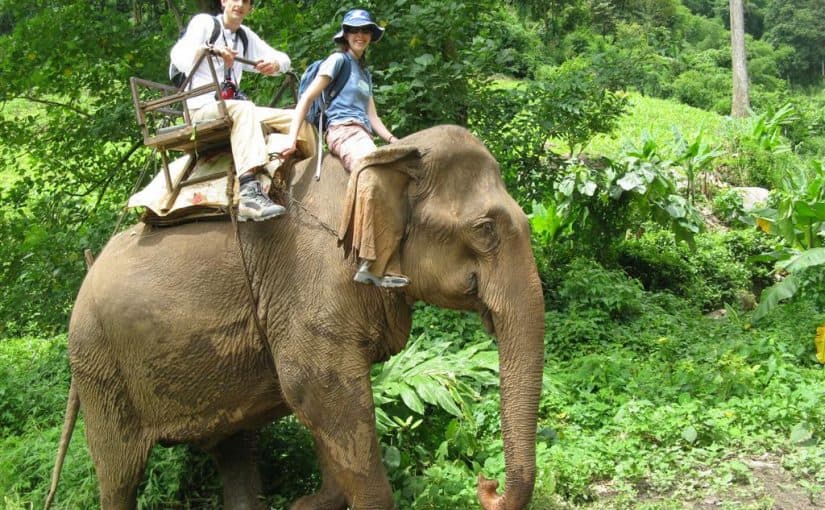 elephant-ride-2-825x510-2 تكلفه اجازة في الهند