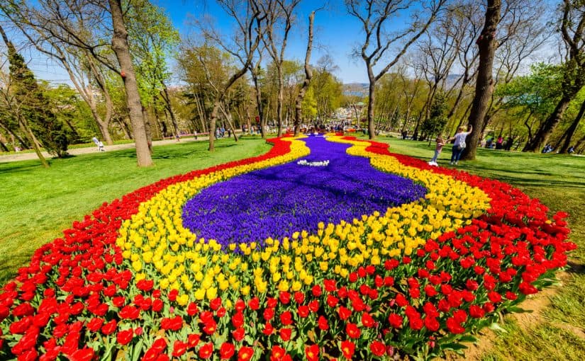 emirgan-korusu-d985d8b9d984d988d985d8a7d8aa-825x510-2 حديقة أميرجان كوروسو