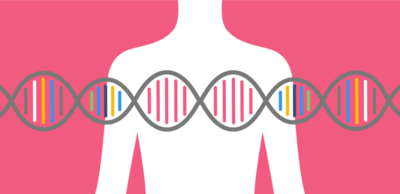 f588883df6e40163200233223f9241b8-1 لماذا يجب عليك مراجعة تاريخك العائلي للكشف عن سرطان الثدي