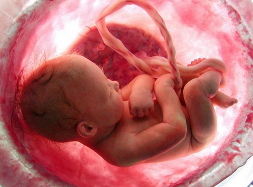 حساب عمر الجنين