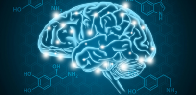 fd2c146d74355f11321e594f8f6c1673-1 نظام المكافأة في الدماغ